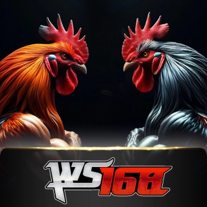 ws168 - hasianbet168