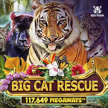 Redtiger : Big Cat Rescue Megaways - HASIANBET168