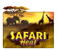 Joker123 : Safari Heat - HASIANBET168