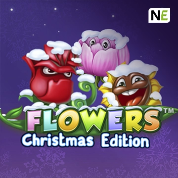 Flowers Christmas Edition - HASIANBET168