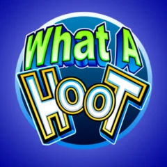 What A Hoot - HASIANBET168