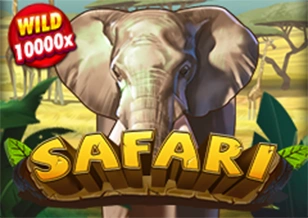 Safari - HASIANBET168